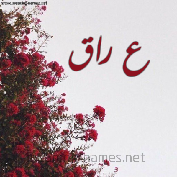 شكل 18 صوره الورد الأحمر للإسم بخط رقعة صورة اسم ع راق عِرَاق-Aـraq